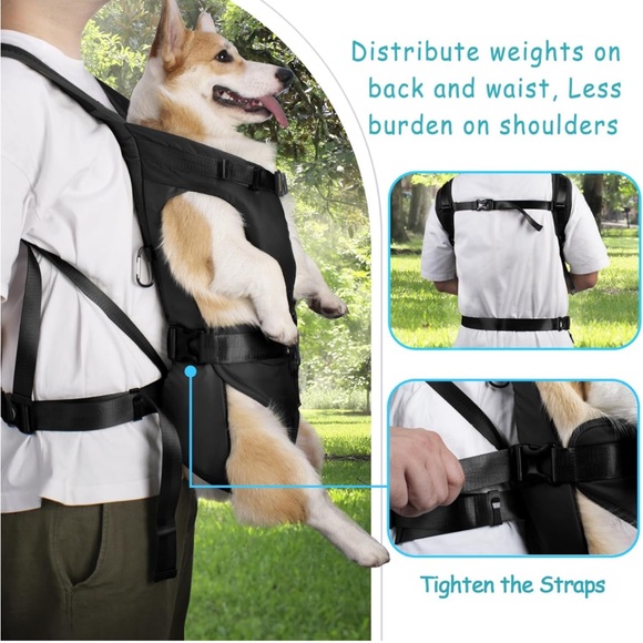 Pet Bonus Dog Carrier - Picture 9 of 14